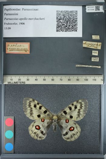 Media type: image;   Entomology 175088